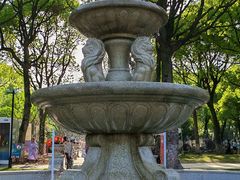 -上海鲜花港