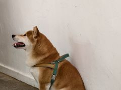 -三目仓咖啡(贤南路店)