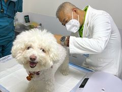 -美联众合动物医院·24h转诊中心