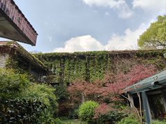 -中国茶叶博物馆(双峰馆区)