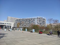 -首都医科大学附属北京天坛医院