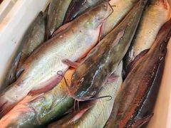 -江湖水乡铁锅炖魚(周庄嘉园店)