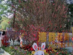 -荔湾湖公园