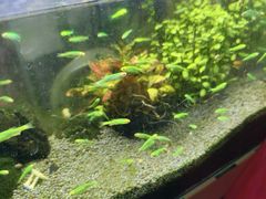 -双季花艺园艺市场(浦东店)