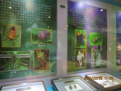 IMG_2804-上海昆虫博物馆