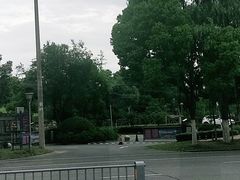 -滨湖塘西河公园