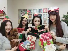 -多卡布奇宠物生活馆(上林世家店)