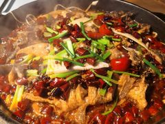 -老板恋上鱼(恒隆广场店)