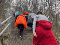 -紫金山山顶公园