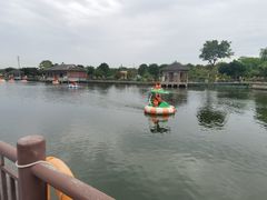 -鹅湖玫瑰文化园