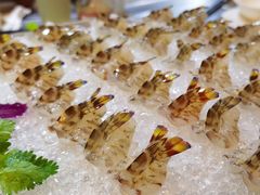 花竹虾刺身-富来美食