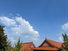 -开福禅寺