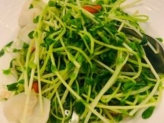 -素心小筑(后沙裕镇店)