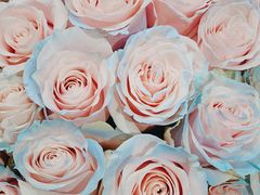 -BEAST野兽派(上海浦东嘉里城店)