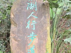 -深圳仙湖植物园