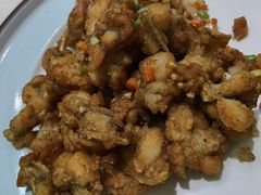 -丁老爷子苏香圆