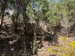-黄花溪