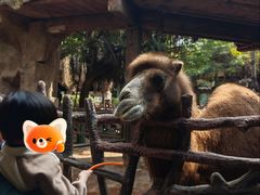 -长鹿旅游休博园