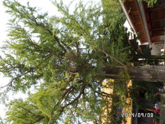-普陀山风景名胜区-法雨禅寺