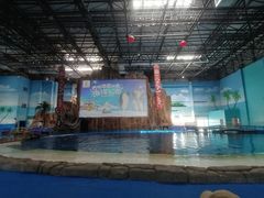 -华夏文旅西安度假区