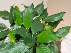 -Xcape异时刻密室逃脱魔法互动(瑞虹天地太阳宫店)