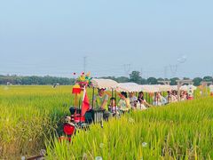 -嘉北郊野公园