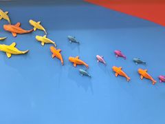 -北京烤鸭 ·儿童菜 ·采风阁家常菜餐厅(亚龙湾天域酒店)