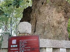 -八大山人梅湖景区