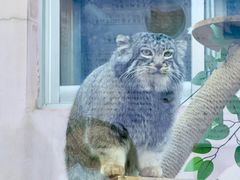 -青藏高原野生动物园