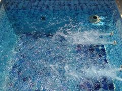 椰树岛海滩度假村-椰树岛海滩度假村