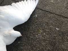 -玄武湖景区-情侣园游乐场