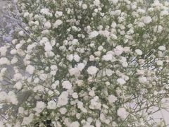 -雪蔓之鲜花气球派对(家佳源时代中心店)