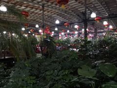 生态园-兴芮温泉汇馆