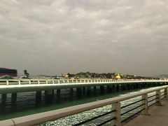 -演武大桥观景平台