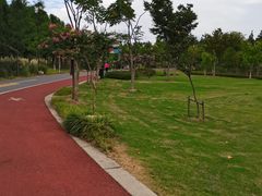 -上海长兴岛郊野公园