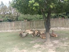 -上海野生动物园