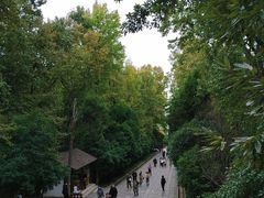 -灵谷景区