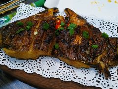 碟鱼头-上炕撸串(长青路店)