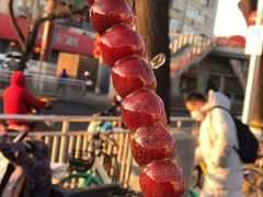 -和禄德冰糖葫芦
