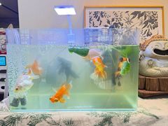 -艾蜜西餐厅(梅园店)