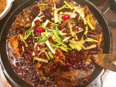 -老板恋上鱼(高新万达店)