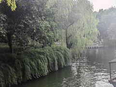 -乌镇东栅景区