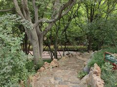 -大连植物园