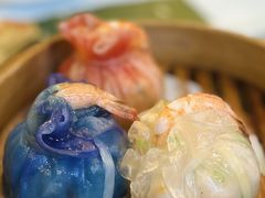 凤尾福袋-太子园林酒家