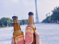-蔡澜点心·粤菜(海印都荟城店)