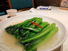 -点都德·毕德寮