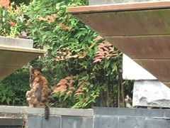 -苏州香山国际大酒店