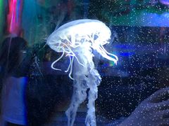 -横店影视城梦幻谷园区