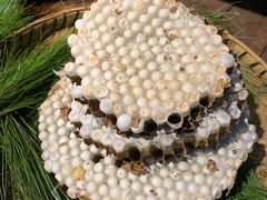 -昆虫窝子·特色云南菜(拓东路总店)