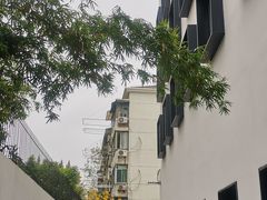 -宋庆龄陵园